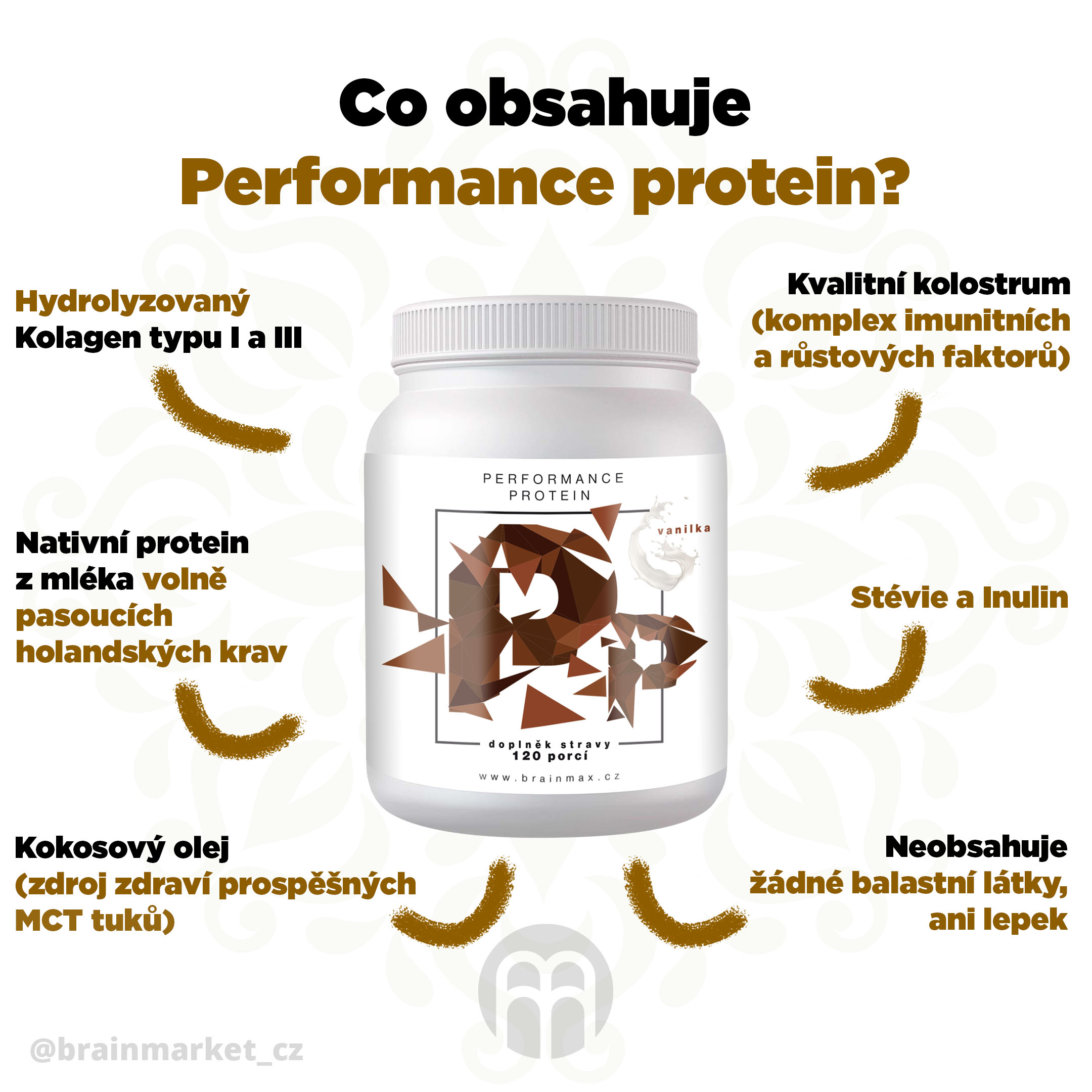 performance protein - vanilka infografika brainmarket CZ
